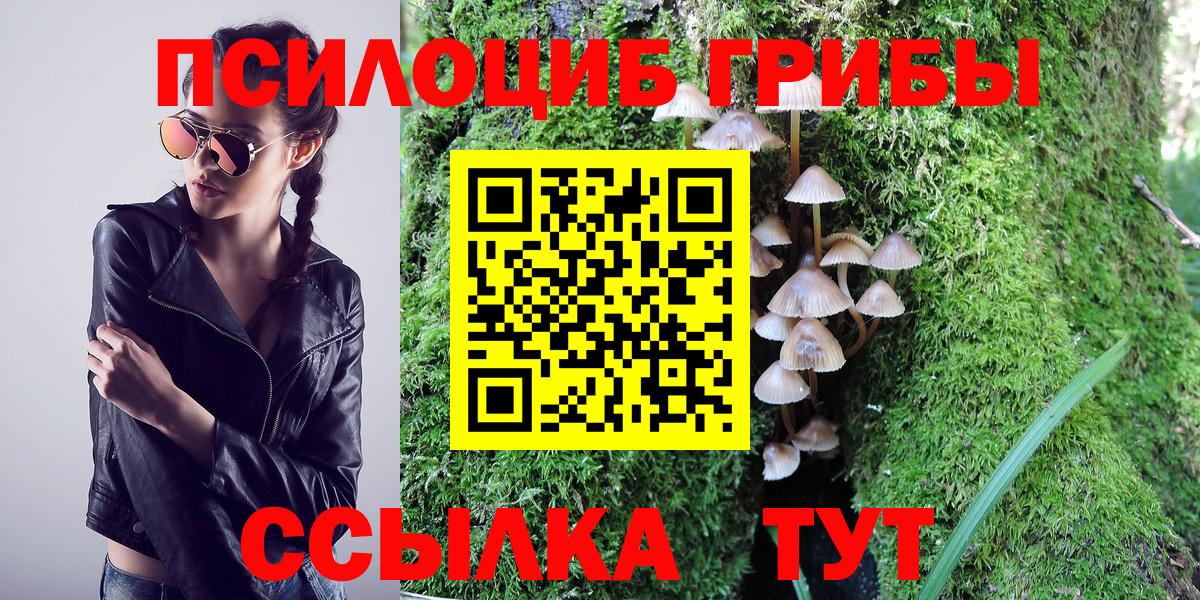 Галлюциногенные грибы Magic Shrooms Великий Устюг